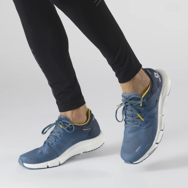 Salomon Predict 2 Men's Running Shoes Blue | CA 30L69